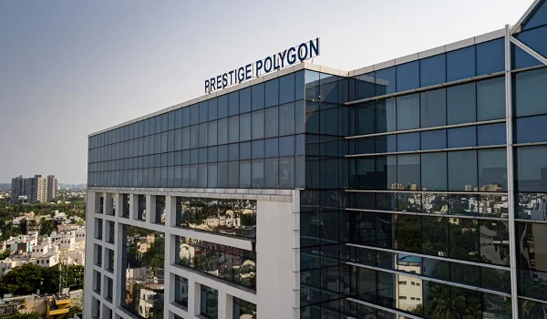 Featured Image Prestige Polygon